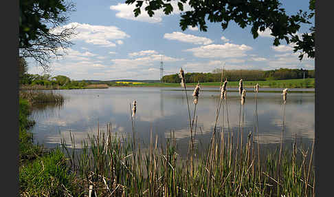 Thüringen (Thuringia)