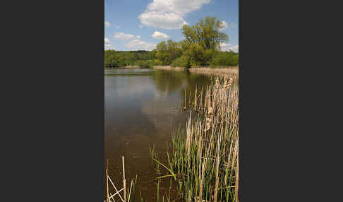 Thüringen (Thuringia)