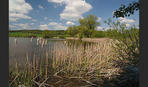 Thüringen (Thuringia)