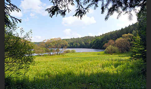 Thüringen (Thuringia)