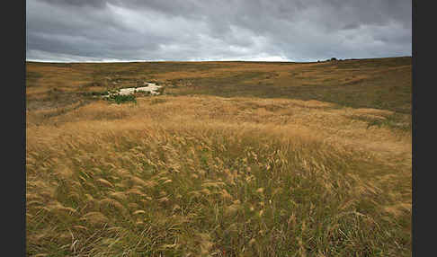 Thüringen (Thuringia)