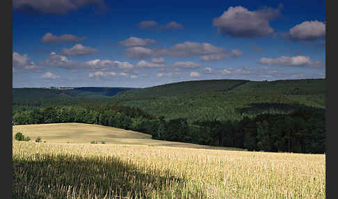 Thüringen (Thuringia)