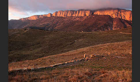 Spanien (Spain)