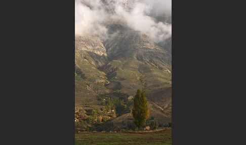Spanien (Spain)