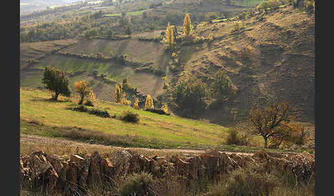 Spanien (Spain)