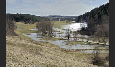 Thüringen (Thuringia)