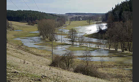 Thüringen (Thuringia)