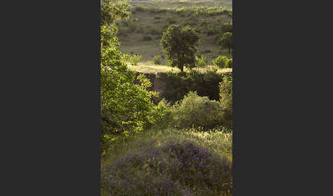 Bulgarien (Bulgaria)