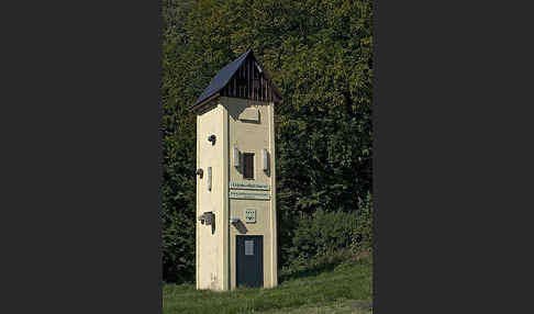 Nistkasten (nest box)