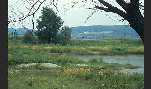 Rumänien (Romania)