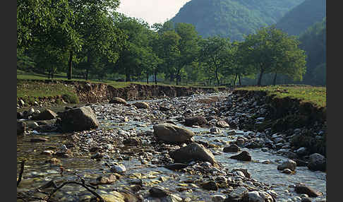 Rumänien (Romania)