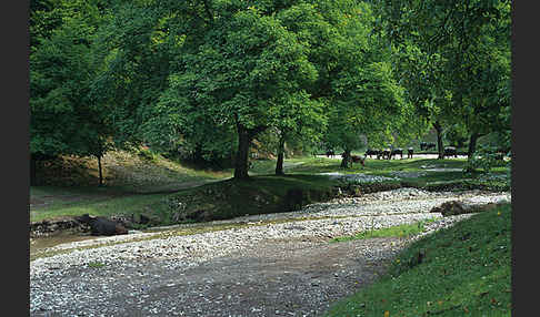 Rumänien (Romania)