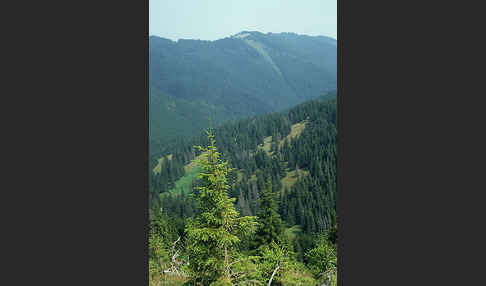 Rumänien (Romania)