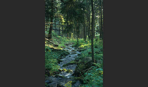 Rumänien (Romania)