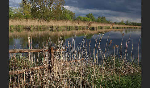 Thüringen (Thuringia)