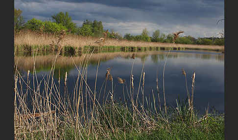 Thüringen (Thuringia)