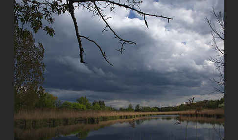 Thüringen (Thuringia)