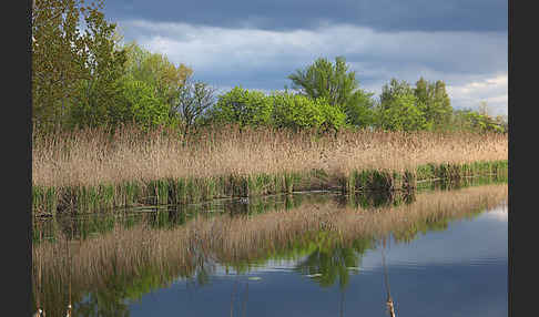 Thüringen (Thuringia)