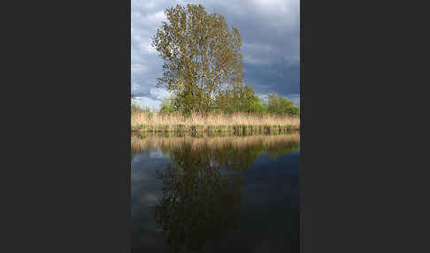 Thüringen (Thuringia)