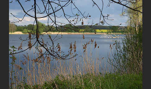 Thüringen (Thuringia)