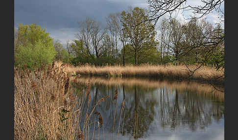 Thüringen (Thuringia)