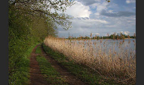 Thüringen (Thuringia)