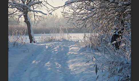 Thüringen (Thuringia)