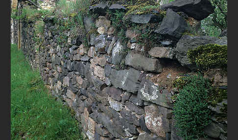 Trockenmauer (dry-stone wall)