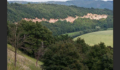 Thüringen (Thuringia)