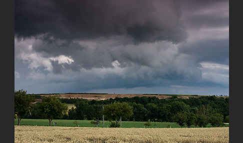 Thüringen (Thuringia)