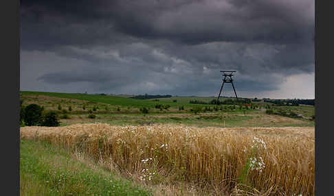 Thüringen (Thuringia)