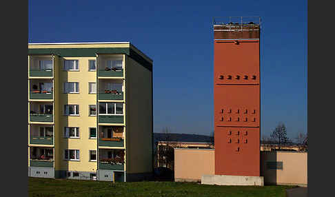 Nistkasten (nest box)