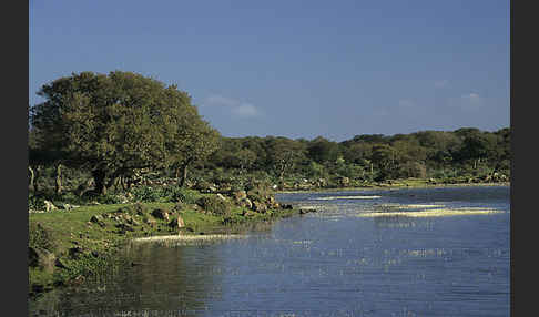 Sardinien (Sardinien)