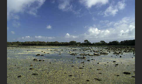 Sardinien (Sardinien)