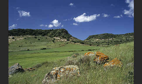 Sardinien (Sardinien)