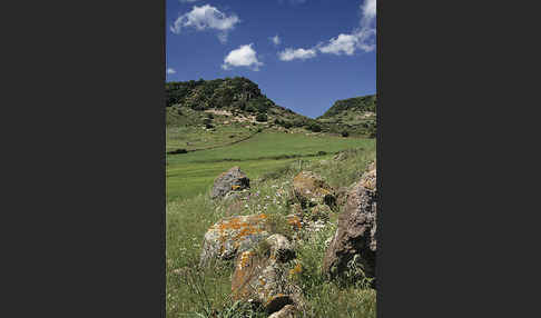 Sardinien (Sardinien)