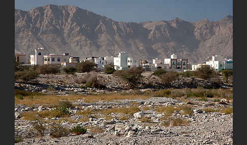 Oman (Oman)