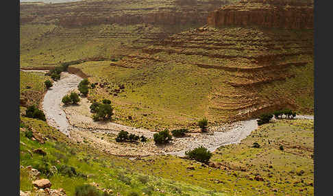 Marokko (Morocco)