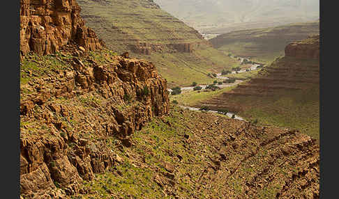 Marokko (Morocco)