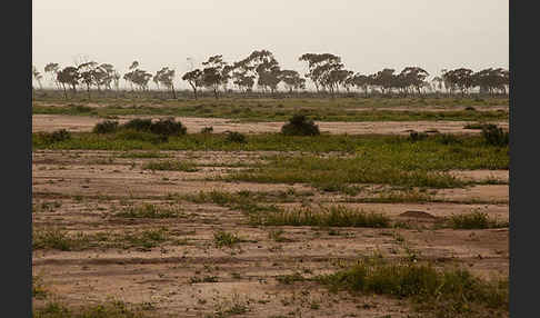 Marokko (Morocco)