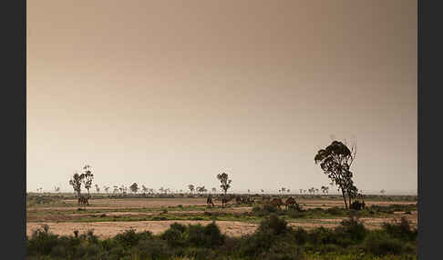 Marokko (Morocco)