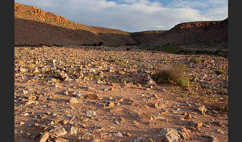 Marokko (Morocco)