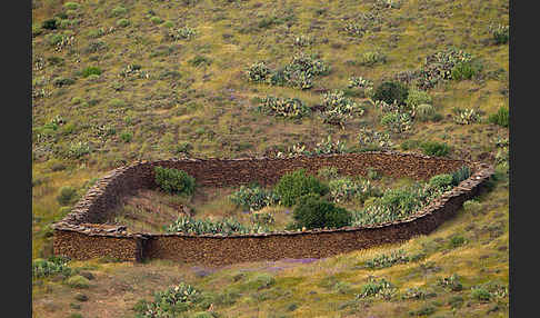 Marokko (Morocco)