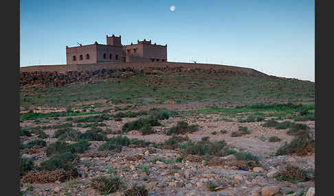 Marokko (Morocco)