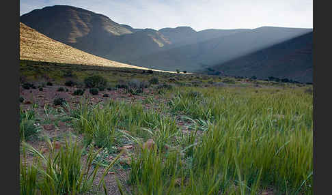 Marokko (Morocco)