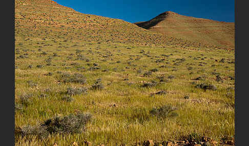 Marokko (Morocco)