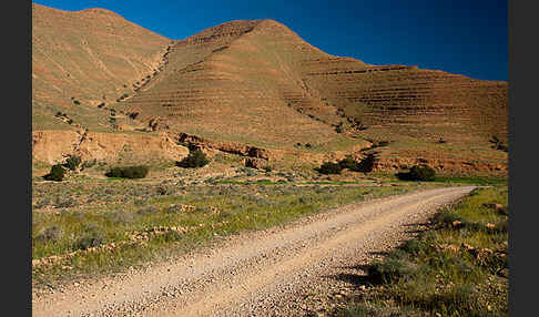 Marokko (Morocco)