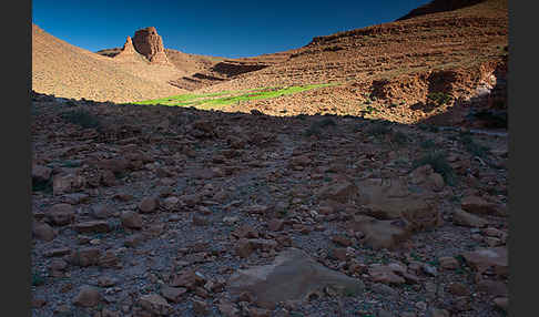 Marokko (Morocco)