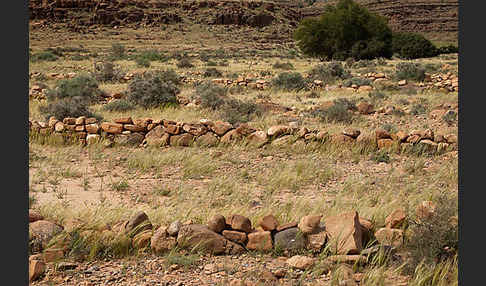 Marokko (Morocco)