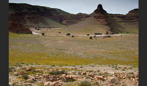 Marokko (Morocco)